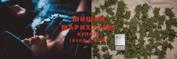 прущие грибы Липки