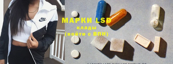 прущие грибы Липки