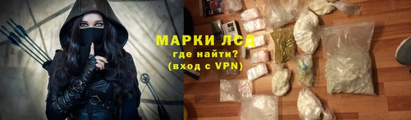 прущие грибы Липки
