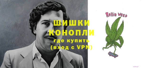 дмт Магас