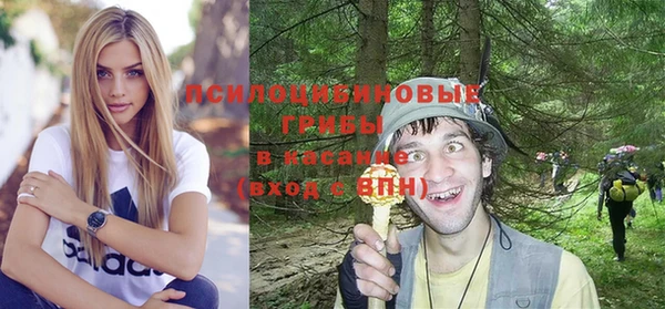 гидра Майский