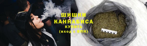 шишки Арсеньев