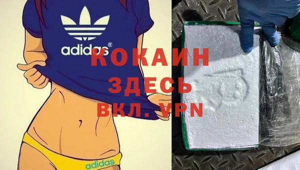 прущие грибы Липки