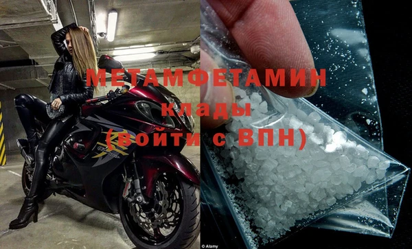 прущие грибы Липки