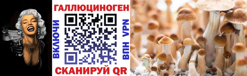 Галлюциногенные грибы ЛСД  Навашино 