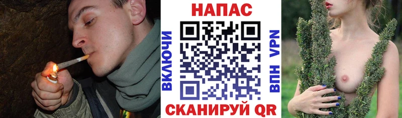 наркошоп OMG ТОР Каннабис планчик Навашино